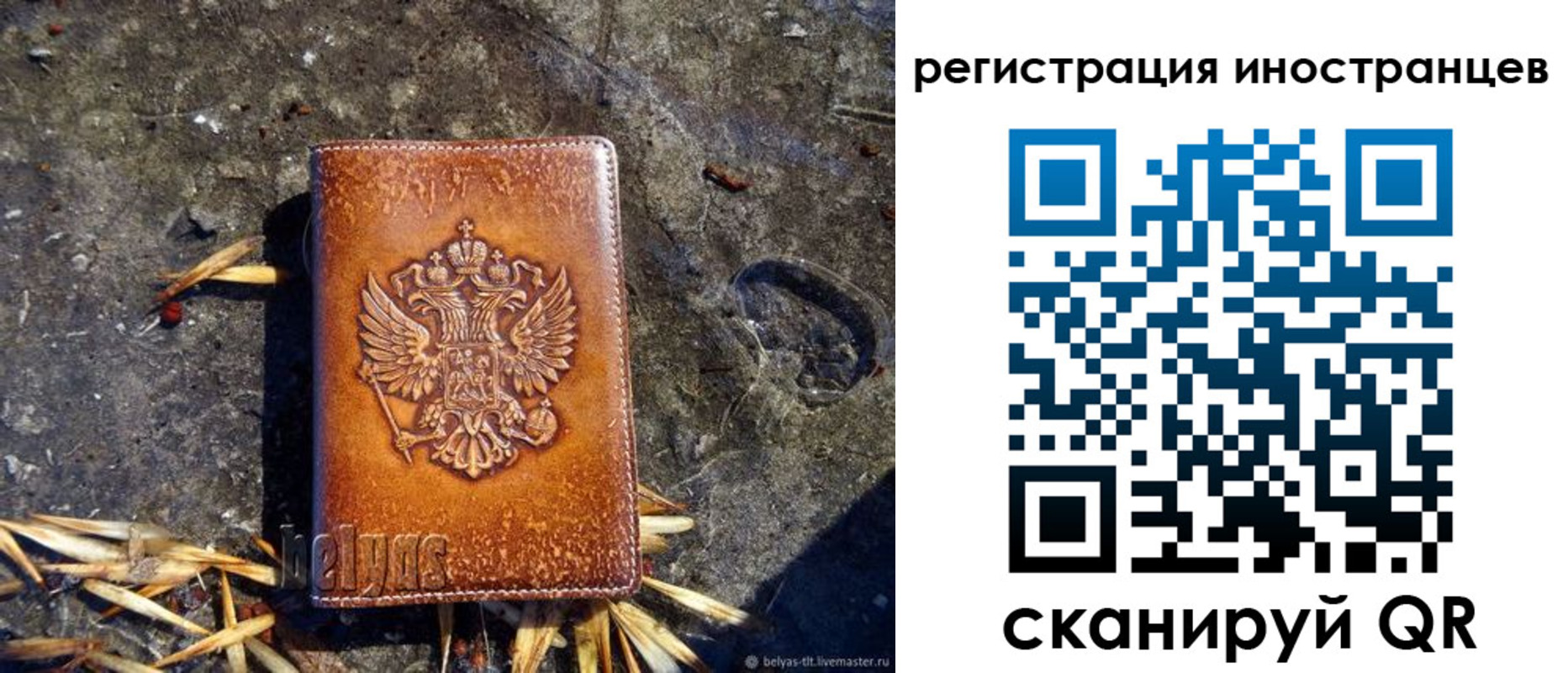 прописка регистрация в Грязях